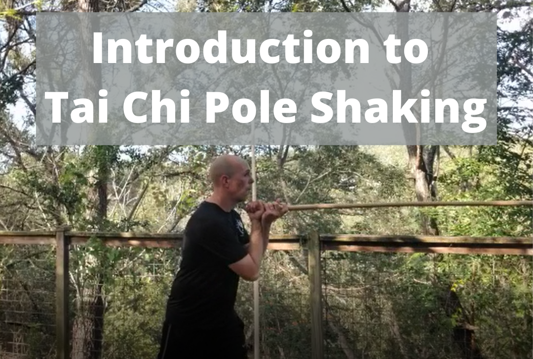 'Video thumbnail for An Introduction to Tai Chi Pole Shaking'
