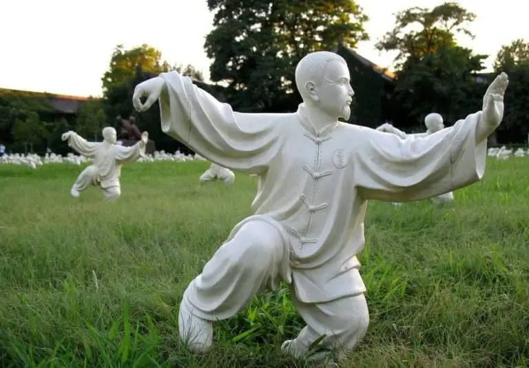 Basic Tai Chi Moves and Poses Explained in Picture and Video