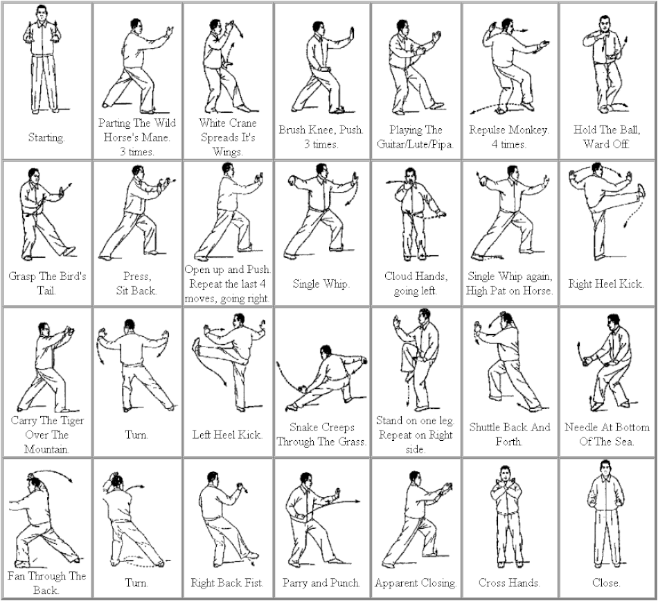 Escudriñar Positivo pureza A Beginners Guide to the Tai Chi Short Form – Styles, Moves, and How to  Practice