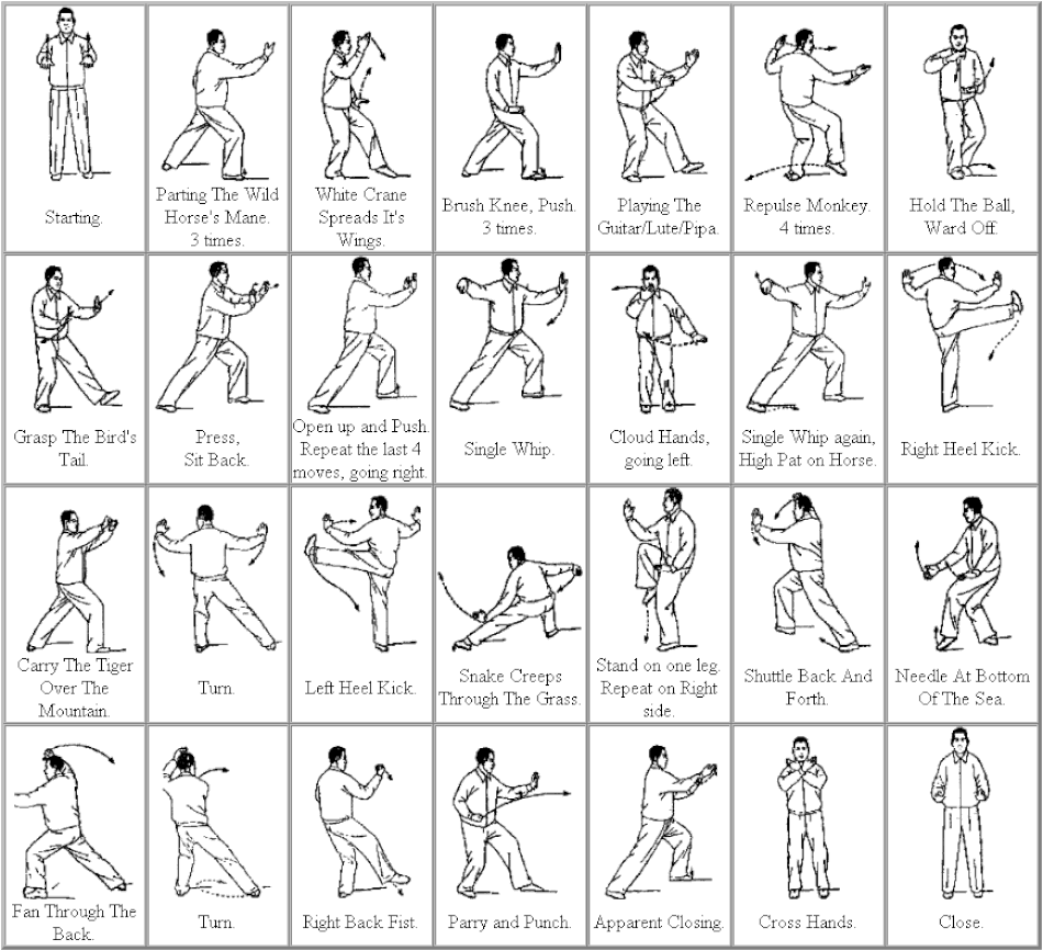 A Beginners Guide to the Tai Chi Short Form – Styles, Moves, and How to  Practice