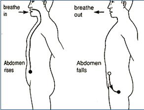 Reverse Breathing - Tai Chi Basics