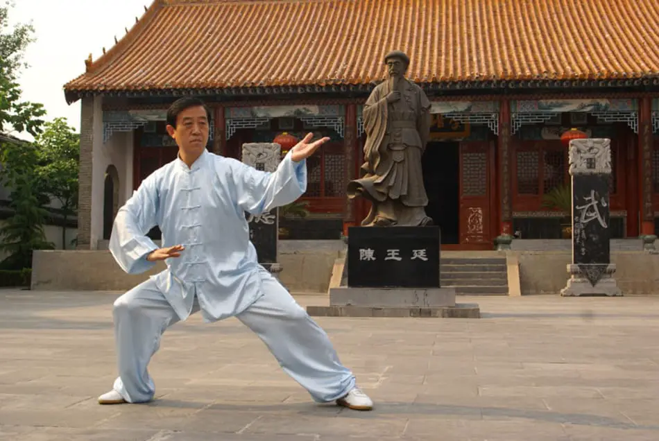 Chen Zhenglei doing the tai chi long form