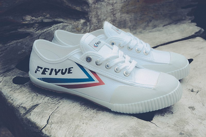 feiyue tai chi shoes