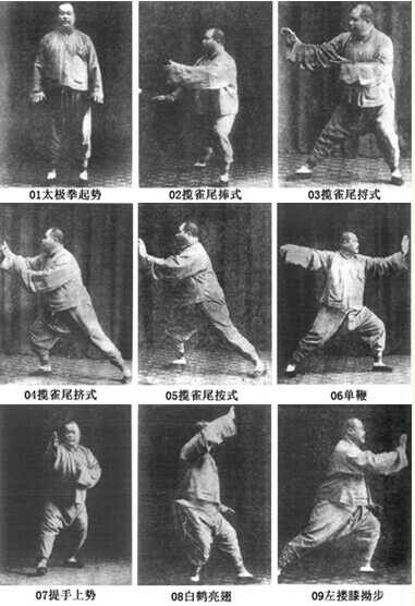 9 of the many tai chi poses
