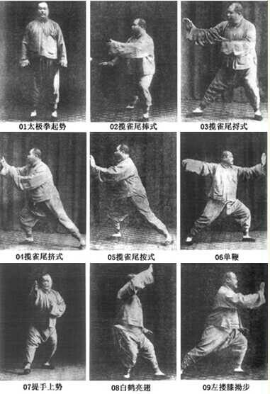 basic-tai-chi-moves-and-poses-explained-in-picture-and-video