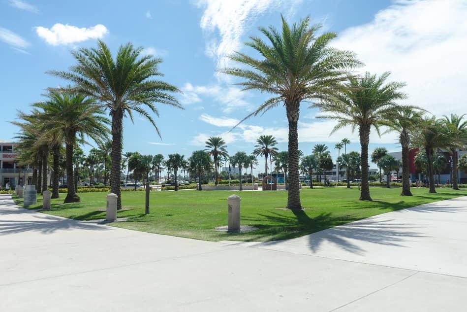 a perfect place outside to do tai chi.