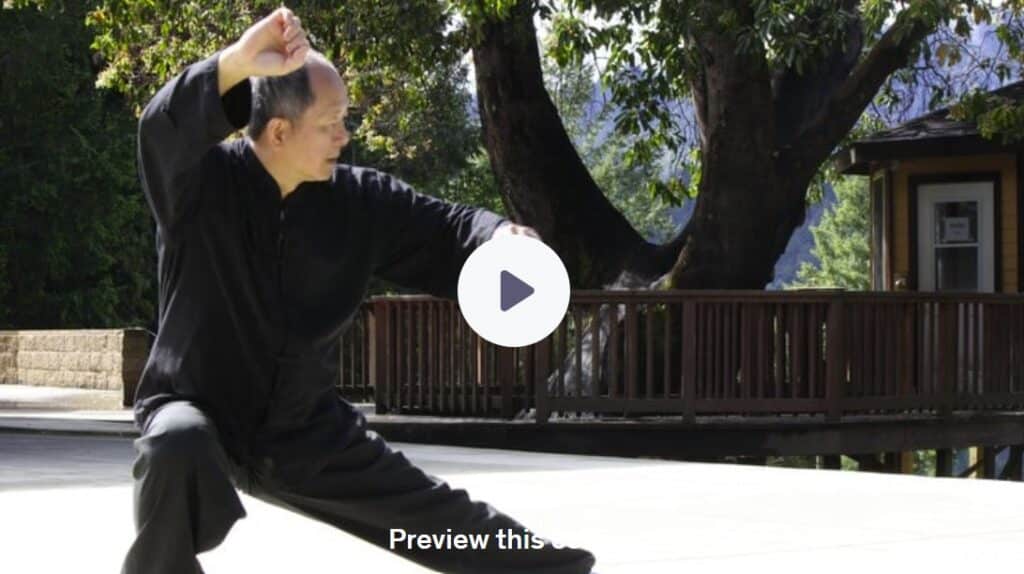 Yang Style Tai Chi Chuan Origin, History, and Forms