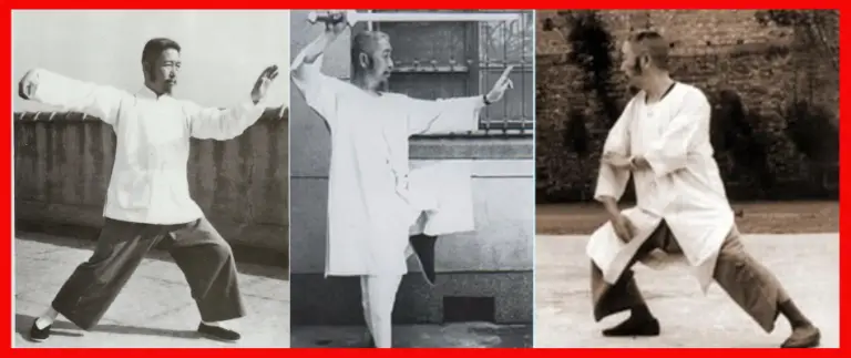 Cheng Man Ching Tai Chi Origin History And Forms 7576