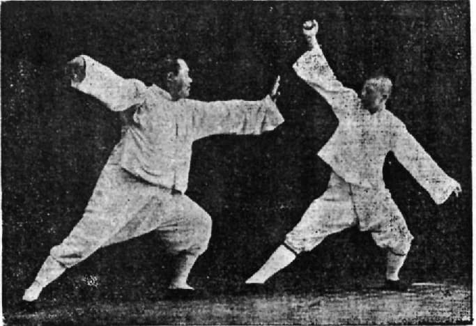 yang family tai chi pose single whip