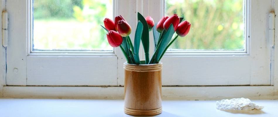 open flowers in a window