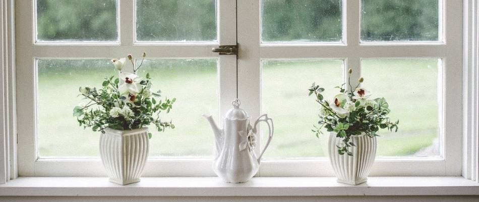 two flowers in a window