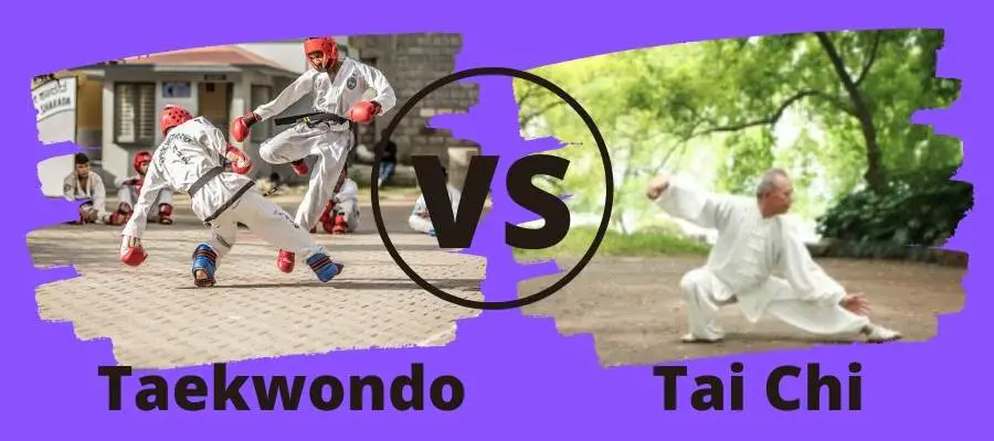 Tai Chi vs Taekwondo banner