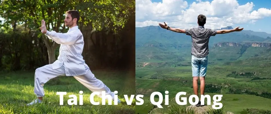 choose tai chi vs qi gong 