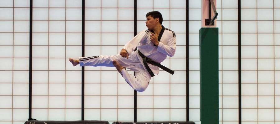 tai chi Vs taekwondo as a martial art
