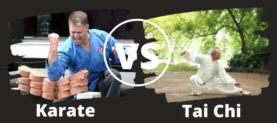 tai chi vs karate banner