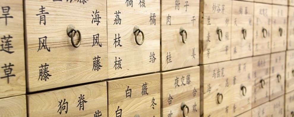 the ancient chinese theory of five elements uses herbs