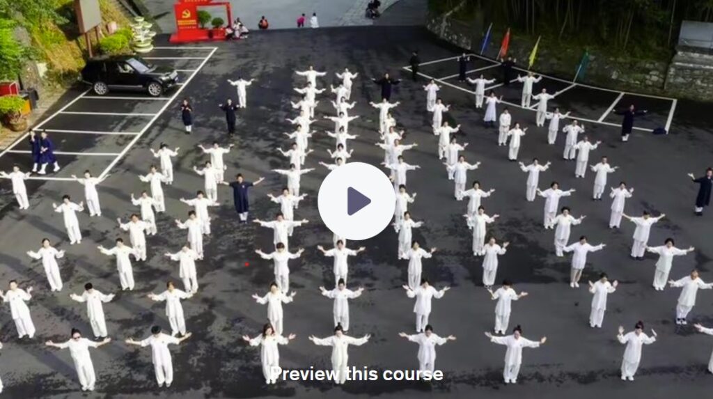 taoist eight pieces silk brocade