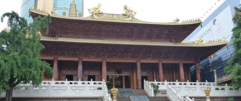 tai chi training in china - temple
